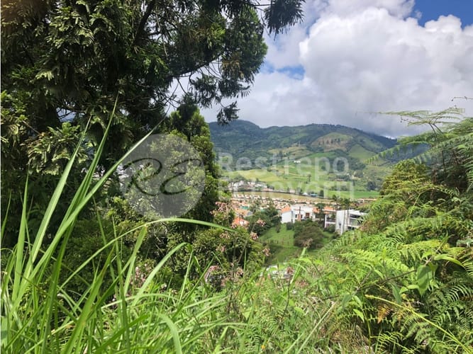 Lote en venta en El Trebol, Manizales, 15837 m² · foto 14 de 18