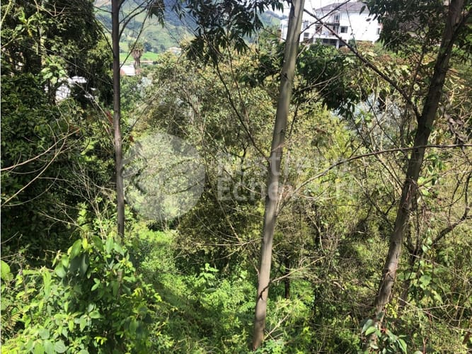 Lote en venta en El Trebol, Manizales, 15837 m² · foto 15 de 18