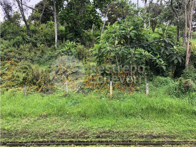 Lote en venta en El Trebol, Manizales, 15837 m² · foto 16 de 18