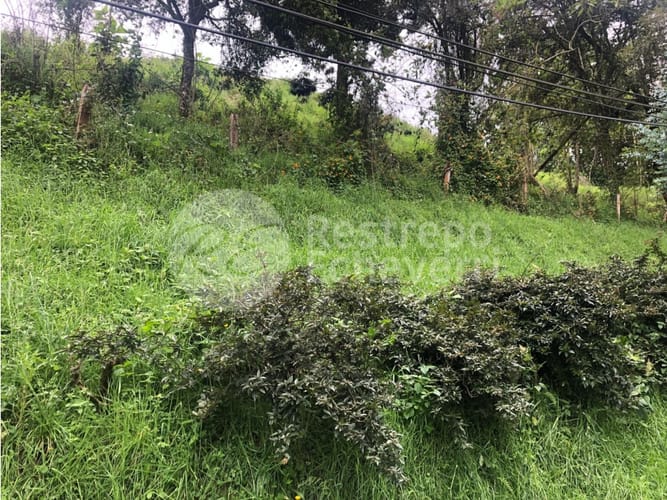 Lote en venta en El Trebol, Manizales, 15837 m² · foto 17 de 18