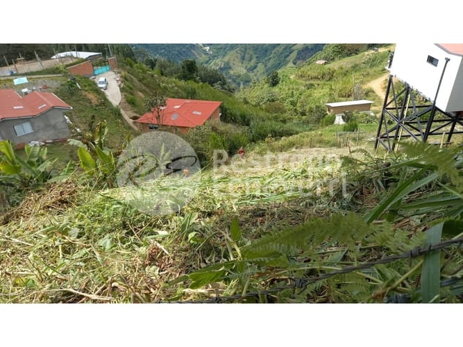 Lote en venta en El Centro, Manizales, 750 m² · foto 2 de 5