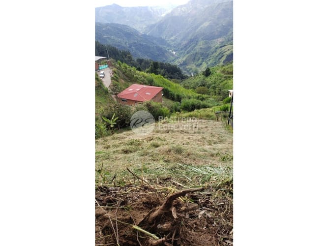 Lote en venta en El Centro, Manizales, 750 m² · foto 5 de 5