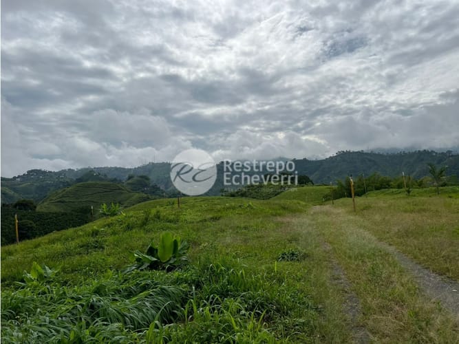Lote en venta en La Trinidad, Manizales, 1728 m² · foto 5 de 24