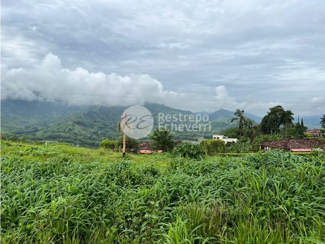 Lote en venta en La Trinidad, Manizales, 2442 m² · foto 12 de 24