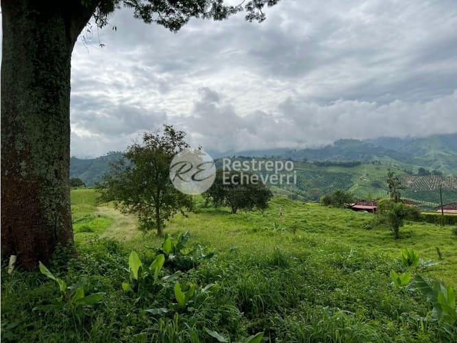 Lote en venta en La Trinidad, Manizales, 2442 m² · foto 16 de 24