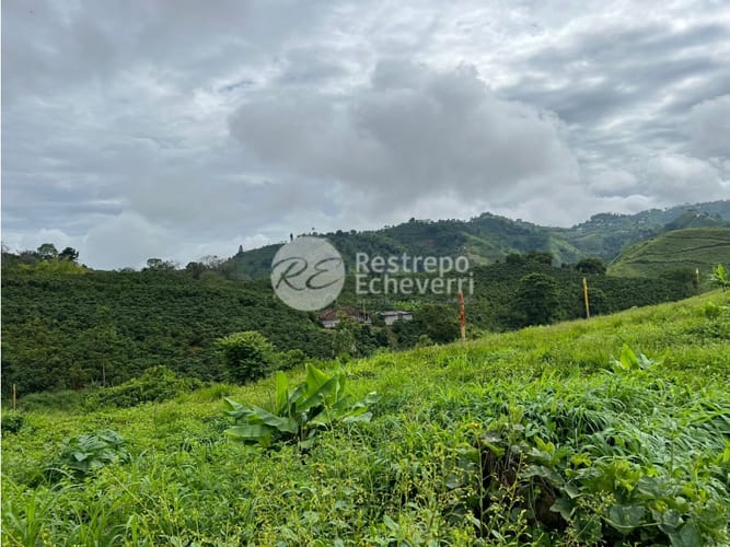 Lote en venta en La Trinidad, Manizales, 2442 m² · foto 18 de 24