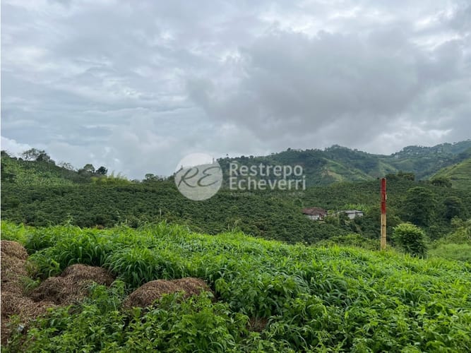 Lote en venta en La Trinidad, Manizales, 2442 m² · foto 24 de 24