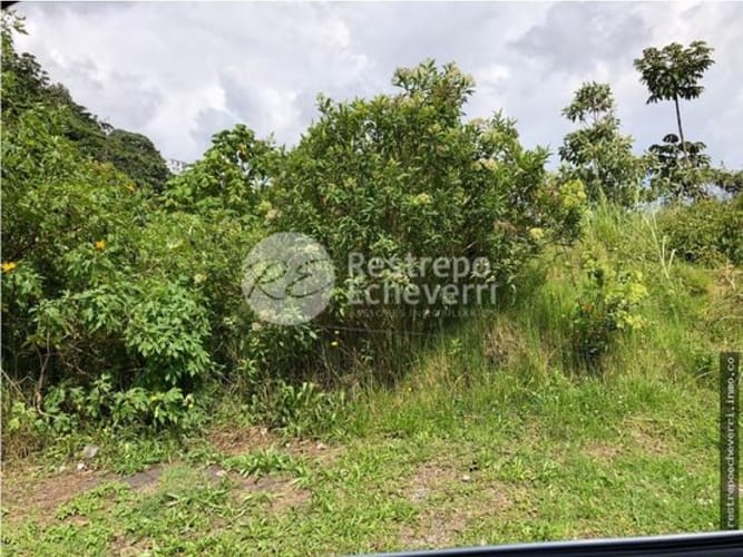 Lote en arriendo en Estación Uribe, Manizales, 3256 m² · foto 2 de 6