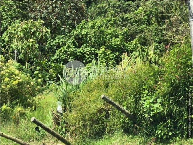 Lote en arriendo en Estación Uribe, Manizales, 3256 m² · foto 3 de 6