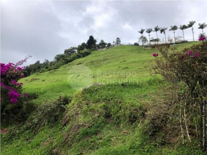 Lote en venta en Alhambra, Manizales, 970 m² · foto 3 de 4