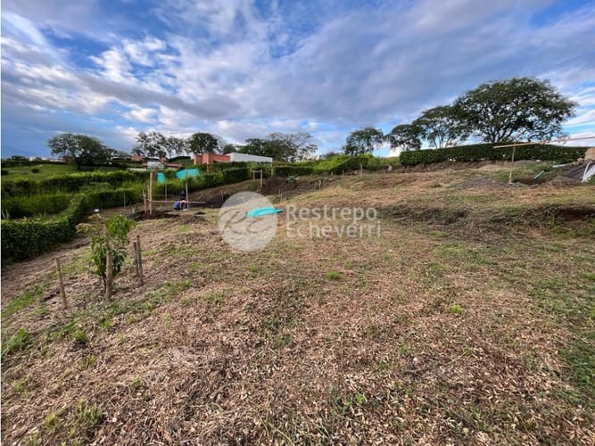 Lote en venta en Kilometro 41, Manizales, 1184 m² · foto 6 de 6