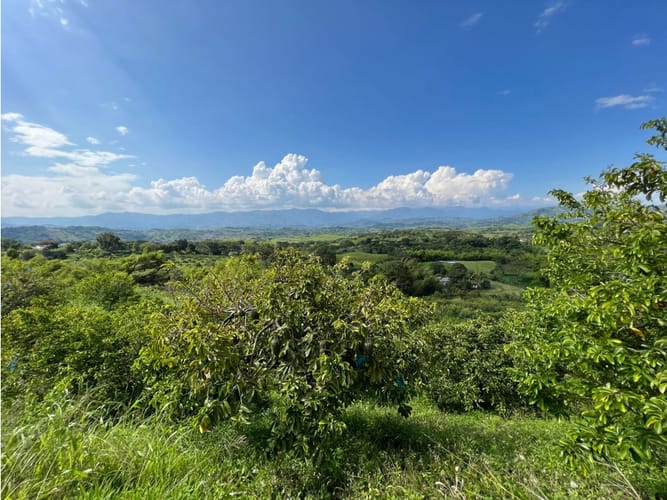 Finca en venta en La Cabaña, Manizales · foto 18 de 24
