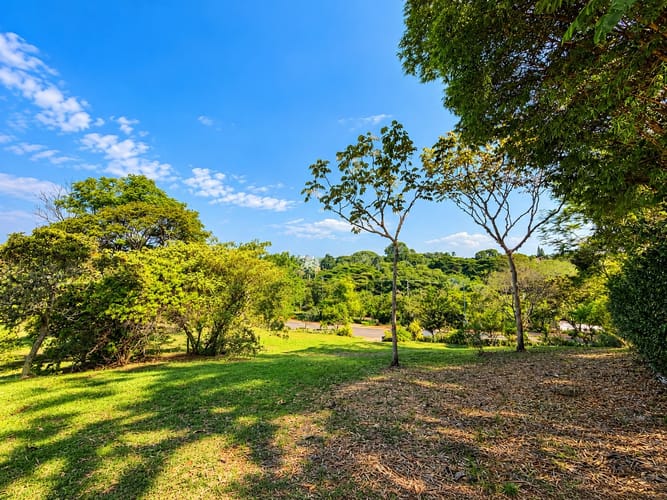 Lote en venta en La Riverita, Cali, 4035 m² · foto 9 de 9