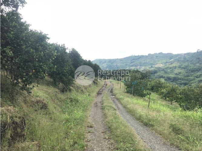 Finca en venta en La Cabaña, Manizales · foto 21 de 24