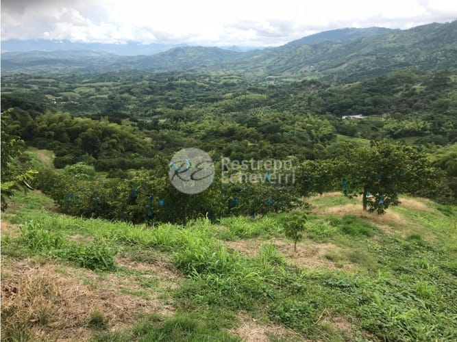 Finca en venta en La Cabaña, Manizales · foto 22 de 24