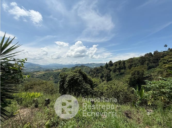 Lote en venta en San Peregrino, Manizales, 13600 m² · foto 2 de 14