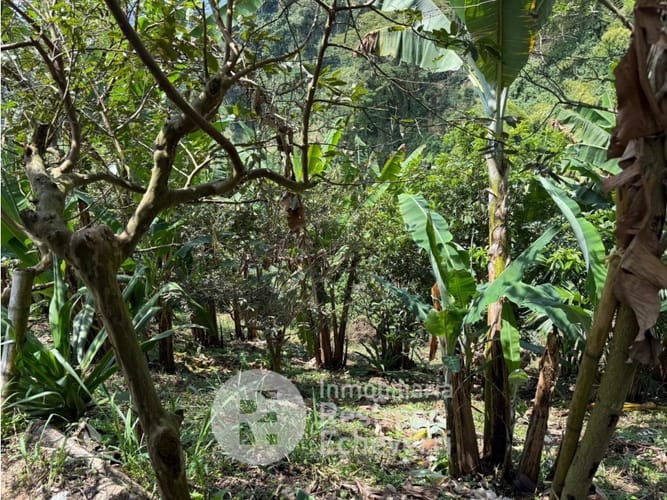 Lote en venta en San Peregrino, Manizales, 13600 m² · foto 3 de 14
