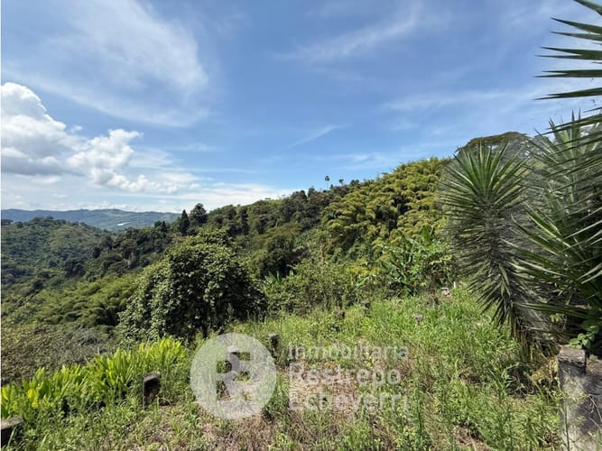 Lote en venta en San Peregrino, Manizales, 13600 m² · foto 5 de 14