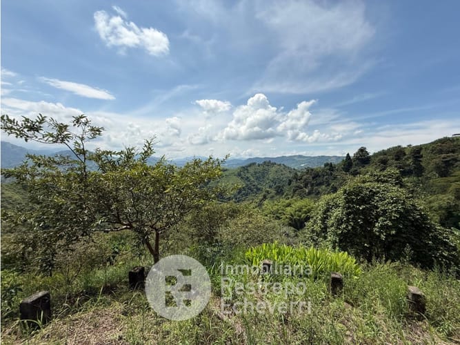 Lote en venta en San Peregrino, Manizales, 13600 m² · foto 6 de 14