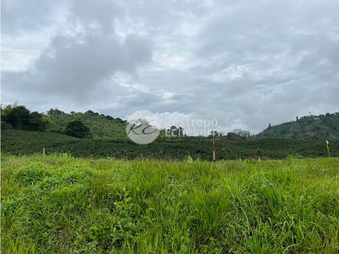 Lote en venta en La Trinidad, Manizales, 2164 m² · foto 3 de 24