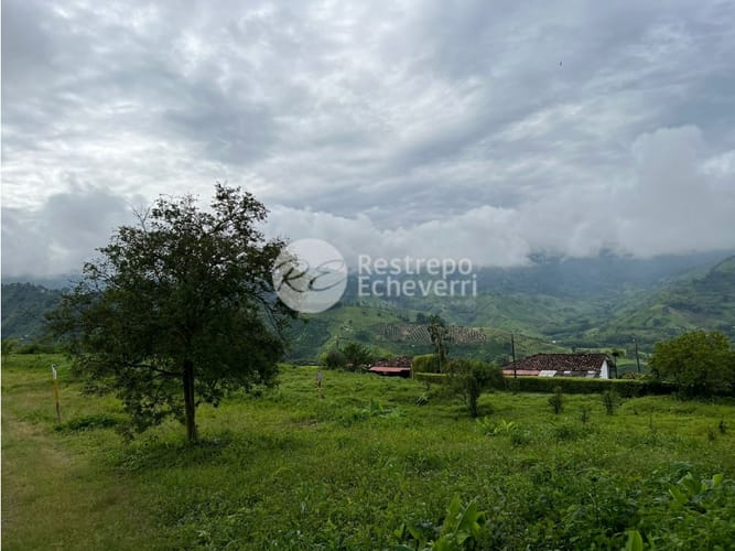 Lote en venta en La Trinidad, Manizales, 2164 m² · foto 6 de 24