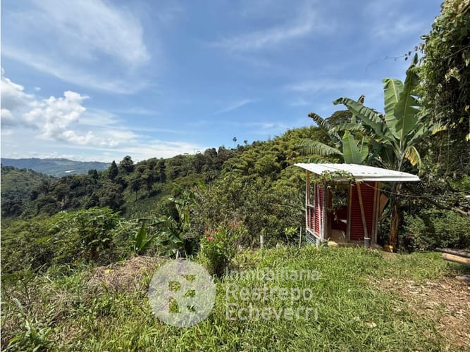 Lote en venta en San Peregrino, Manizales, 13600 m² · foto 13 de 14