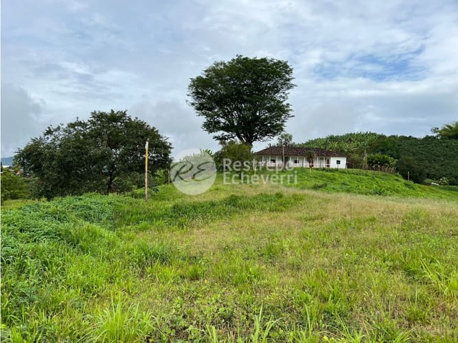 Lote en venta en La Trinidad, Manizales, 2164 m² · foto 13 de 24