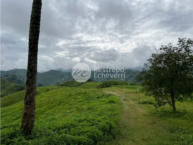 Lote en venta en La Trinidad, Manizales, 2164 m² · foto 14 de 24
