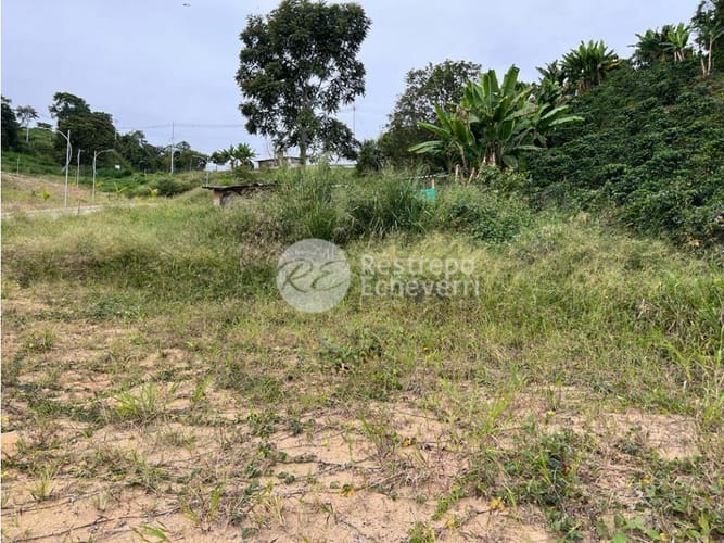 Lote en venta en La Cabaña, Manizales, 482 m² · foto 2 de 15