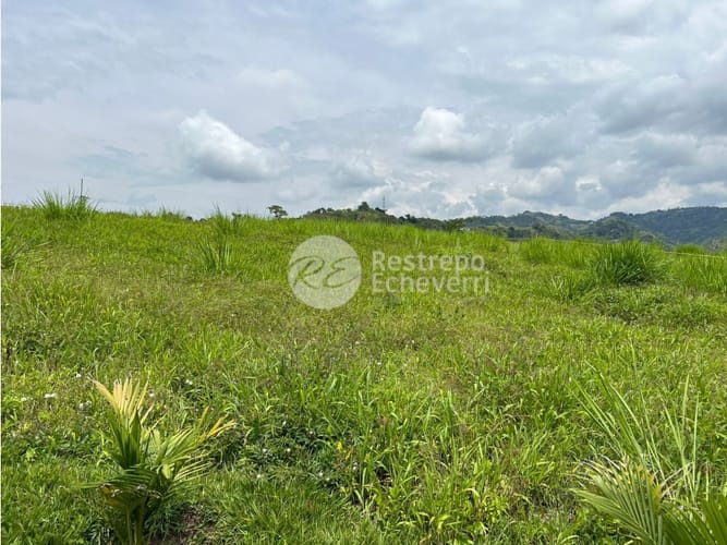 Lote en venta en El Rosario, Manizales, 2075 m² · foto 2 de 8