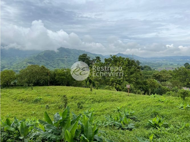 Lote en venta en La Trinidad, Manizales, 2164 m² · foto 19 de 24