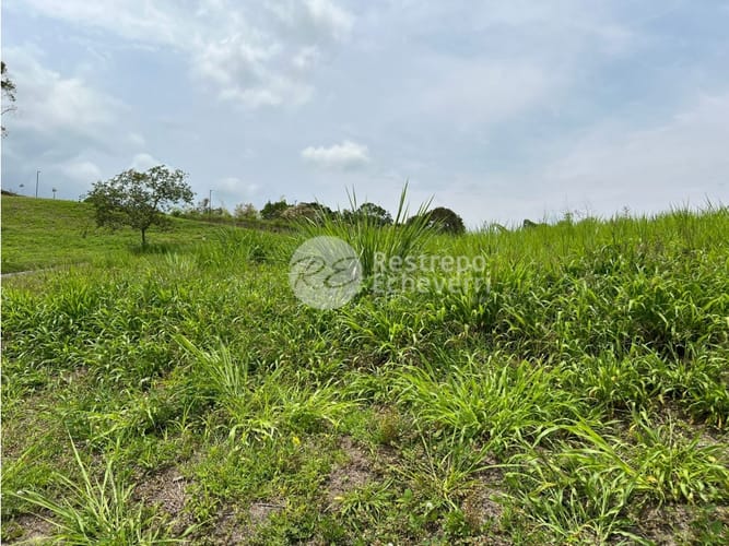 Lote en venta en El Rosario, Manizales, 2075 m² · foto 3 de 8