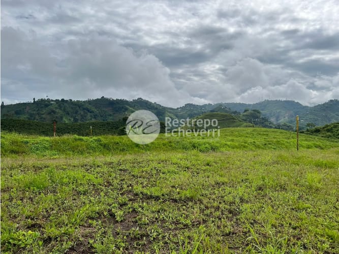 Lote en venta en La Trinidad, Manizales, 2164 m² · foto 21 de 24