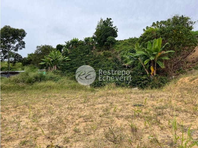 Lote en venta en La Cabaña, Manizales, 482 m² · foto 6 de 15