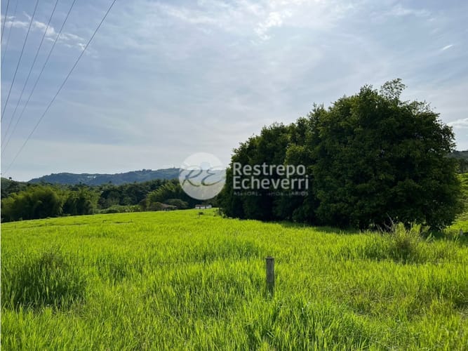 Lote en venta en El Rosario, Manizales, 11799 m² · foto 2 de 11