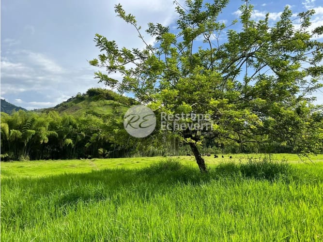 Lote en venta en El Rosario, Manizales, 11799 m² · foto 3 de 11