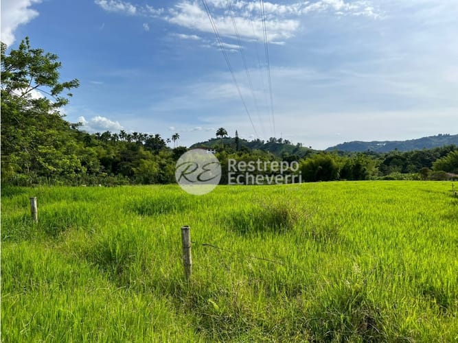 Lote en venta en El Rosario, Manizales, 11799 m² · foto 4 de 11