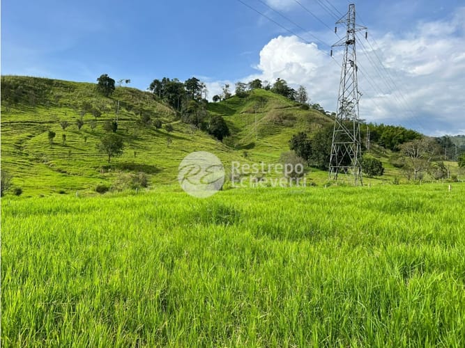 Lote en venta en El Rosario, Manizales, 11799 m² · foto 5 de 11