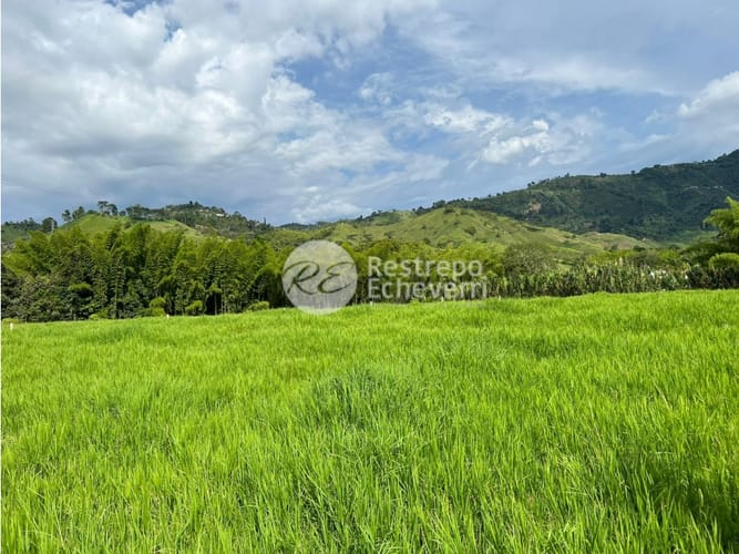 Lote en venta en El Rosario, Manizales, 11799 m² · foto 6 de 11