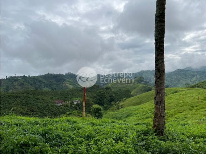 Lote en venta en La Trinidad, Manizales, 1459 m² · foto 8 de 24