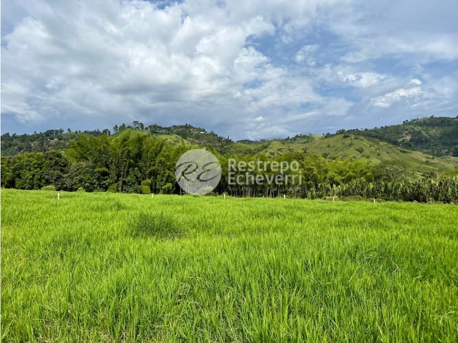 Lote en venta en El Rosario, Manizales, 11799 m² · foto 8 de 11