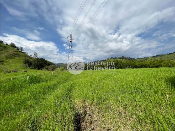 Lote en venta en El Rosario, Manizales, 11799 m² · foto 9 de 11