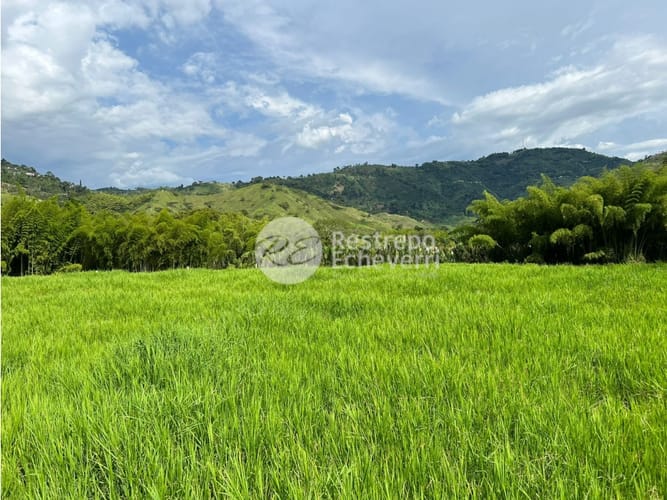 Lote en venta en El Rosario, Manizales, 11799 m² · foto 10 de 11
