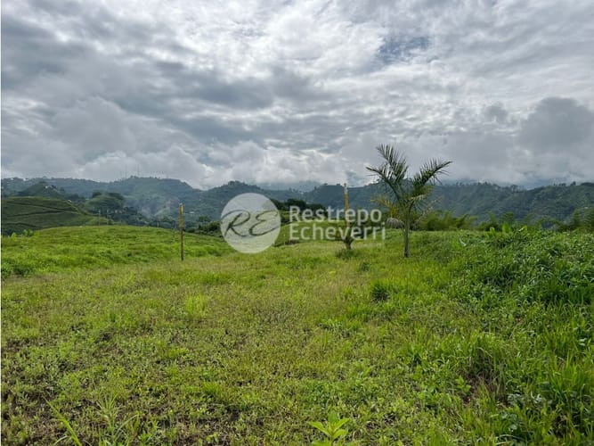 Lote en venta en La Trinidad, Manizales, 1459 m² · foto 11 de 24