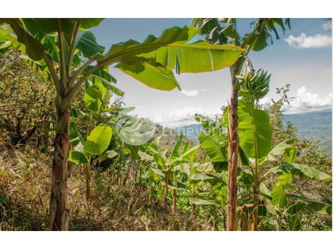Finca en venta en La Cabaña, Manizales, 221 m² · foto 4 de 24