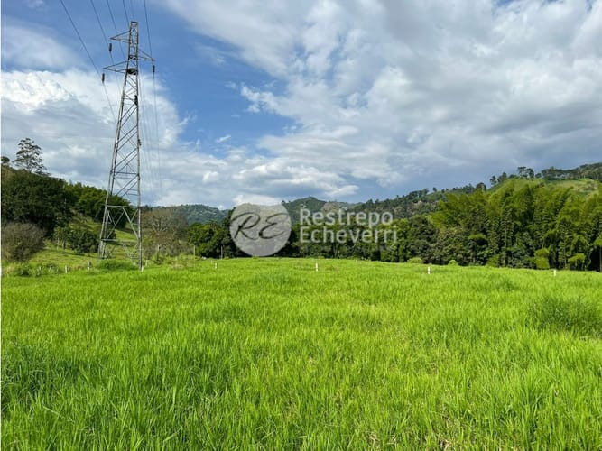 Lote en venta en El Rosario, Manizales, 11799 m² · foto 11 de 11