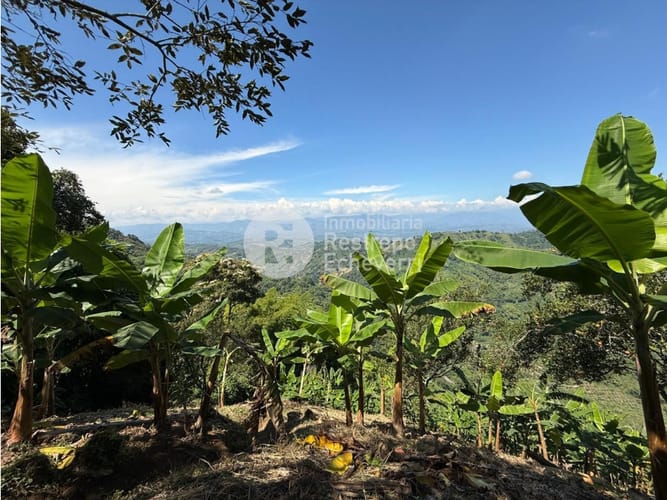 Finca en venta en La Cabaña, Manizales, 221 m² · foto 5 de 24