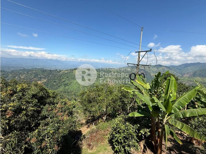 Finca en venta en La Cabaña, Manizales, 221 m² · foto 7 de 24