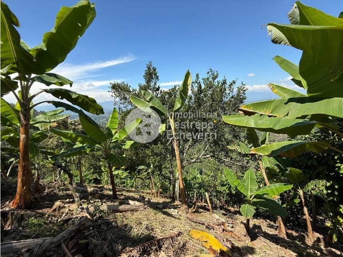Finca en venta en La Cabaña, Manizales, 221 m² · foto 8 de 24