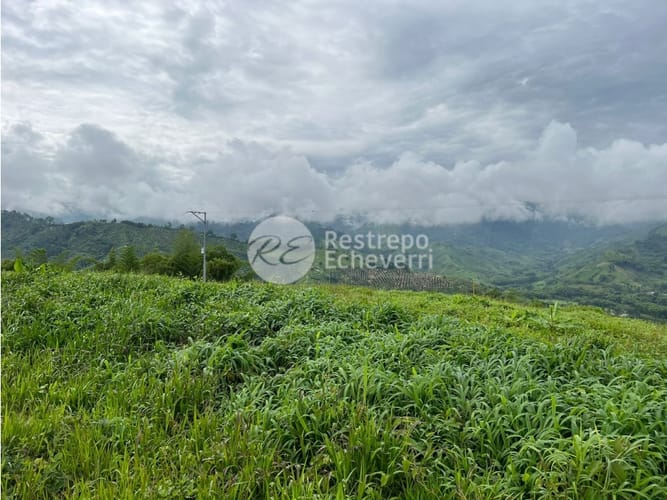 Lote en venta en La Trinidad, Manizales, 1459 m² · foto 21 de 24